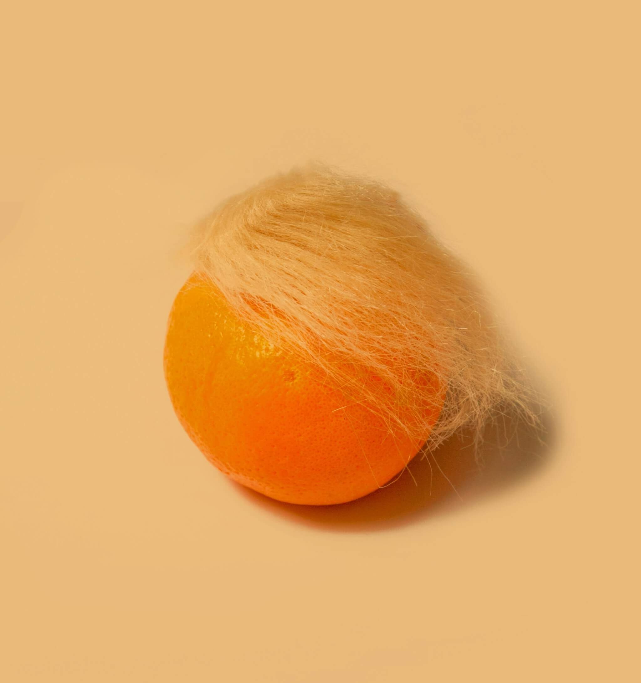 Foto einer Orange mit blonden Haaren als Karikatur von Donald Trum.