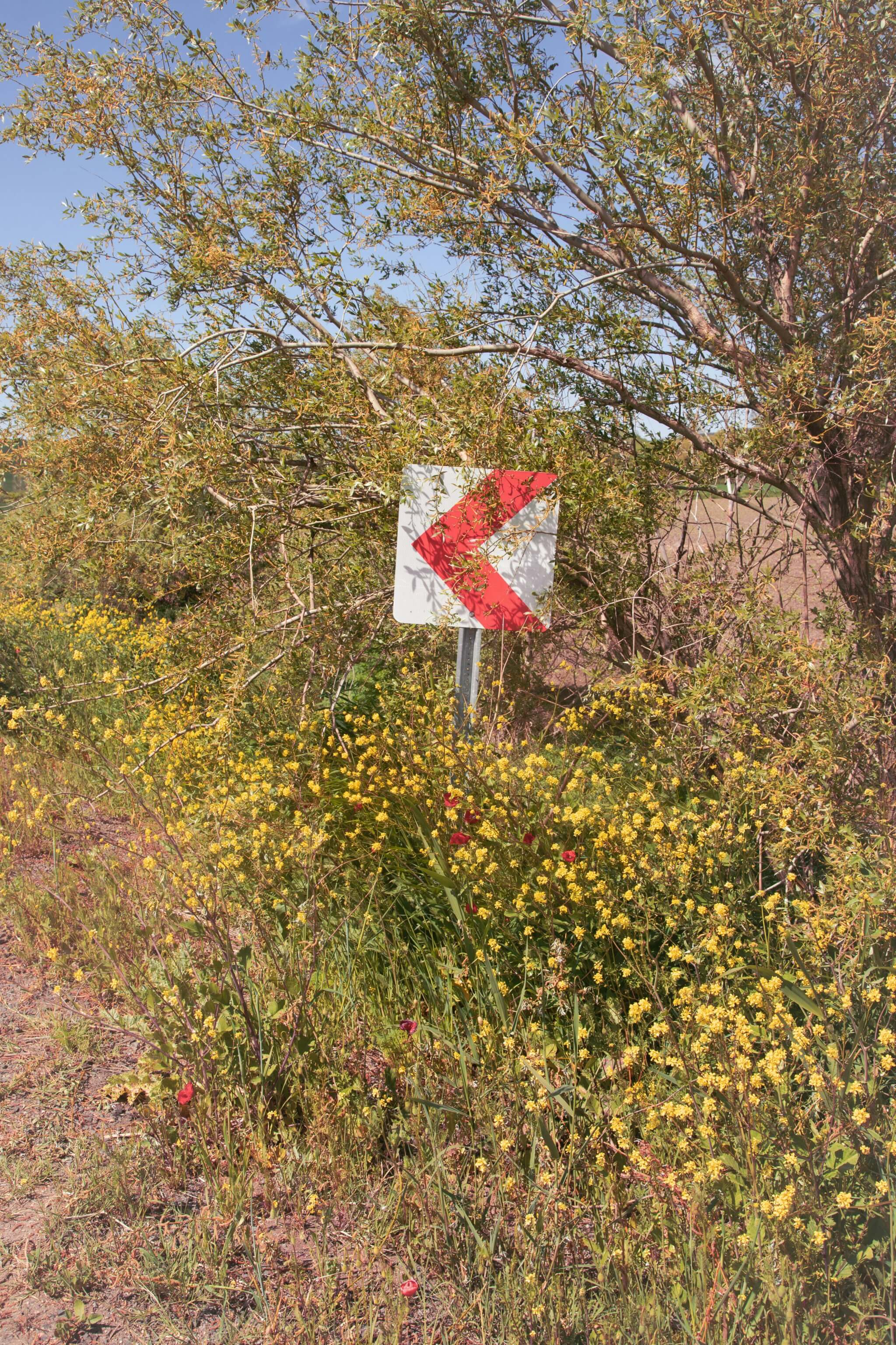 Verkehrsschild mit rotem Pfeil nach links, teilweise von Wildpflanzen und Ästen überwachsen.
