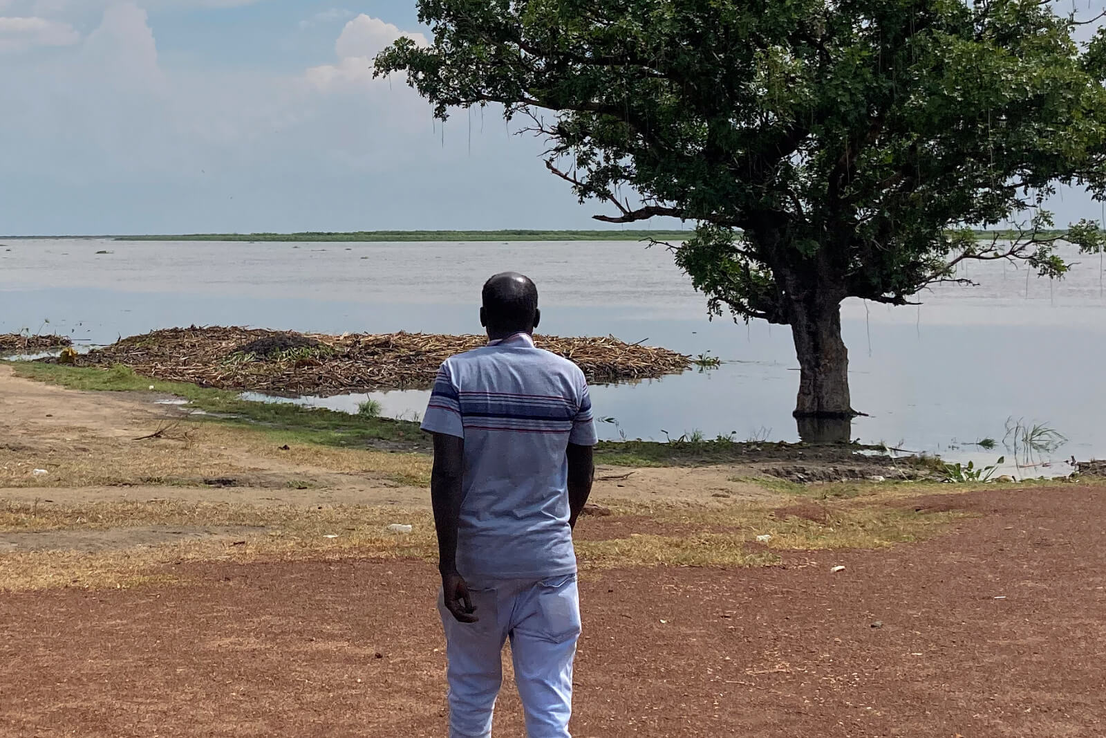 Ein Mann geht über einen braunen Erdboden in Richtung eines Gewässers mit einem großen Baum.
