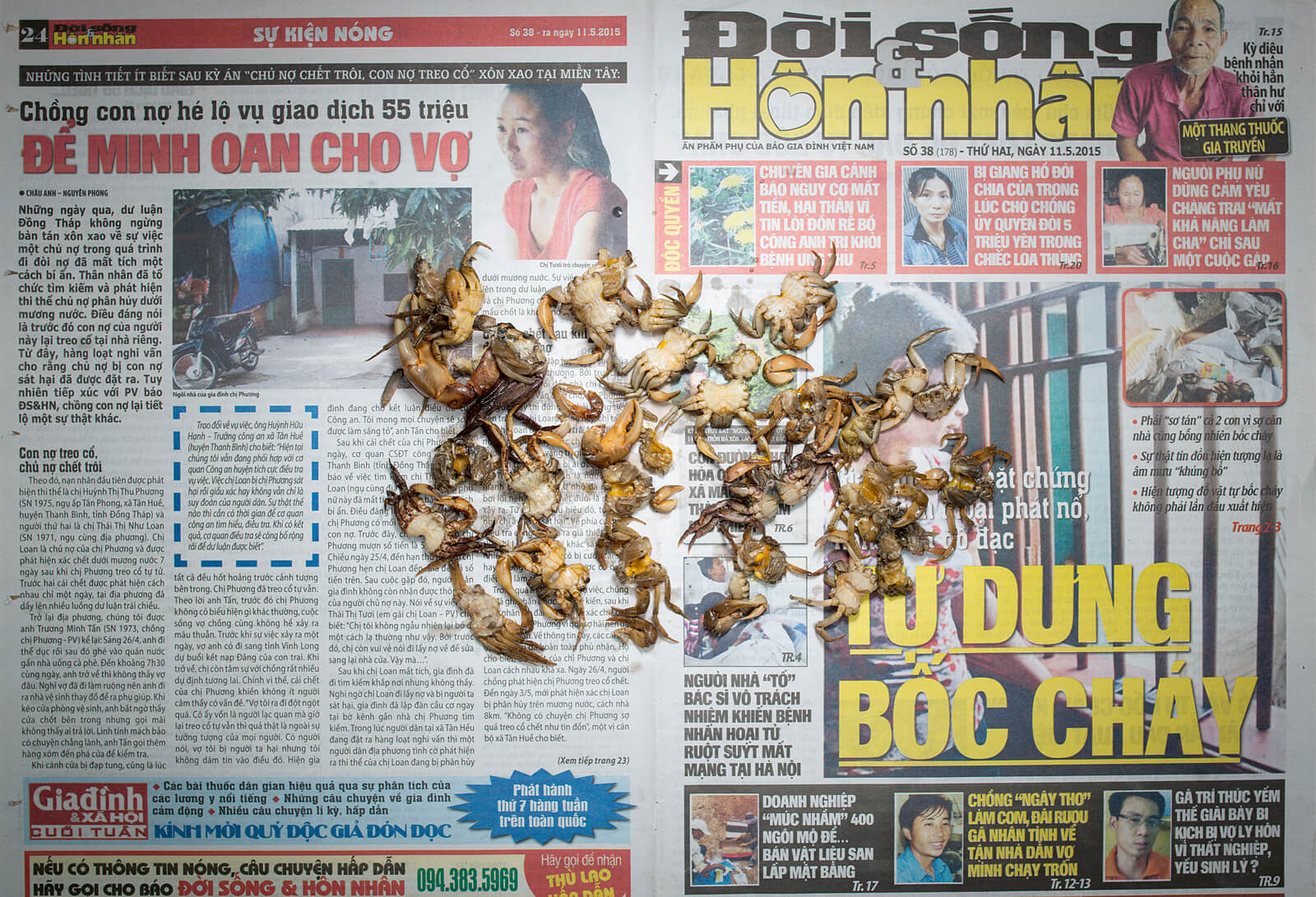 Vietnamesische Zeitung aus 2015, auf der sich mehrere Krebse tummeln.