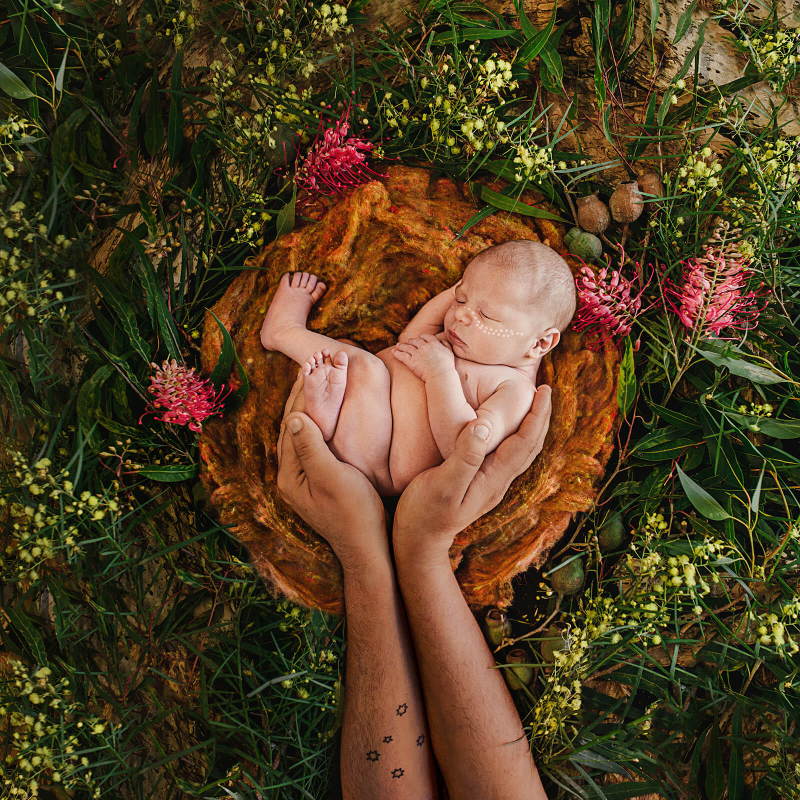 Ein Bild der Fotokünstlerin Bobbi Lockyer: Ein schlafendes Baby, das in eine Art Nest gebettet ist, wird sanft von zwei Händen umfasst. Rundherum befinden sich Blumen und grüne Blätter.