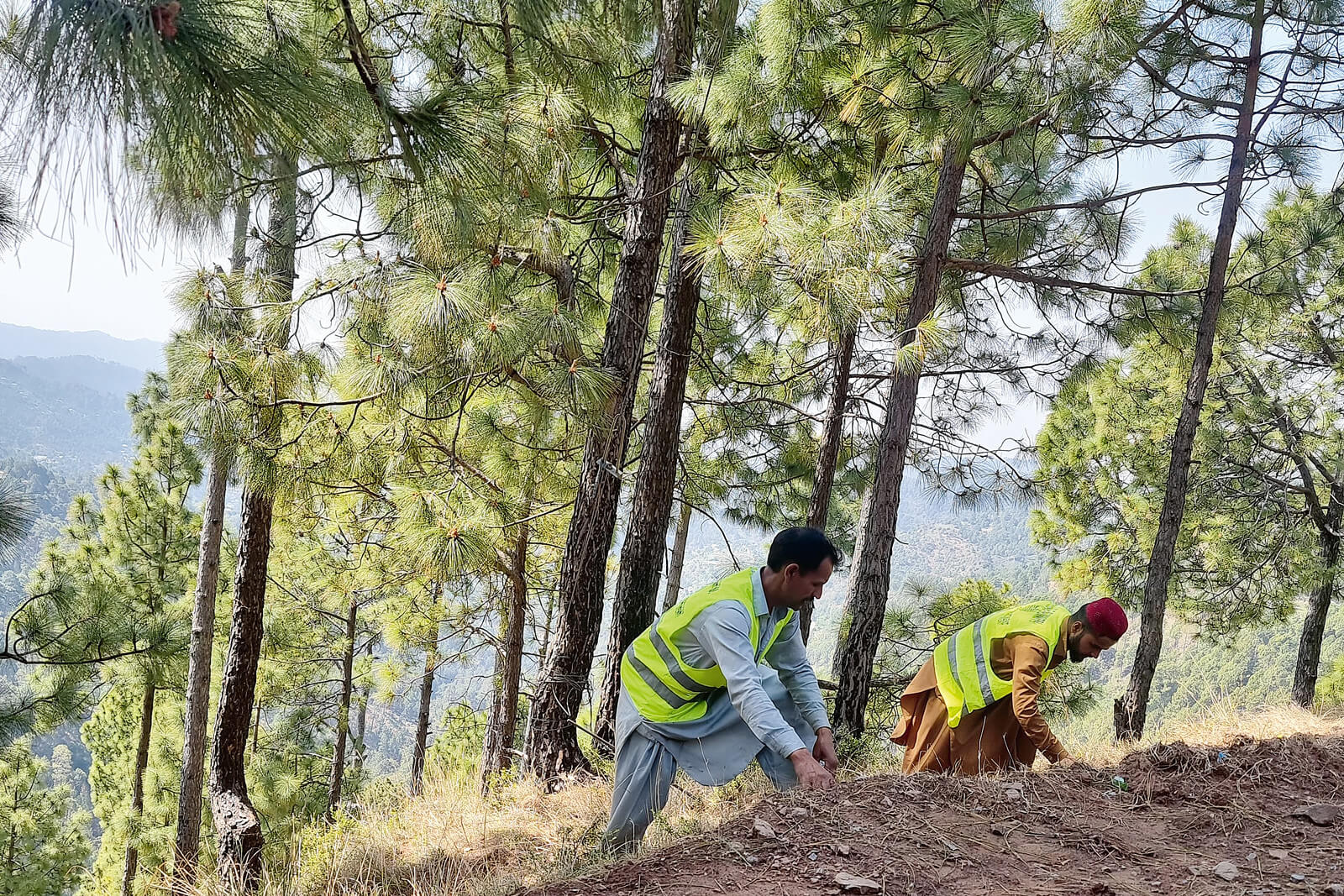 Zwei Männer in gelben Warnwesten an einem Hang in einem bewaldeten Gebiet.