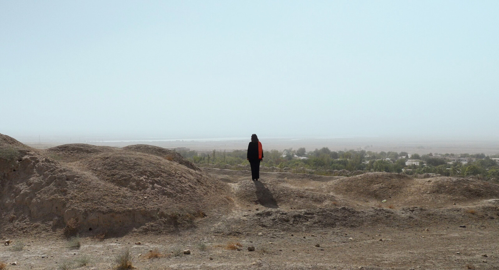 Filmstill: Person steht auf einem Hügel und blickt auf eine neblige Landschaft mit Bäumen.