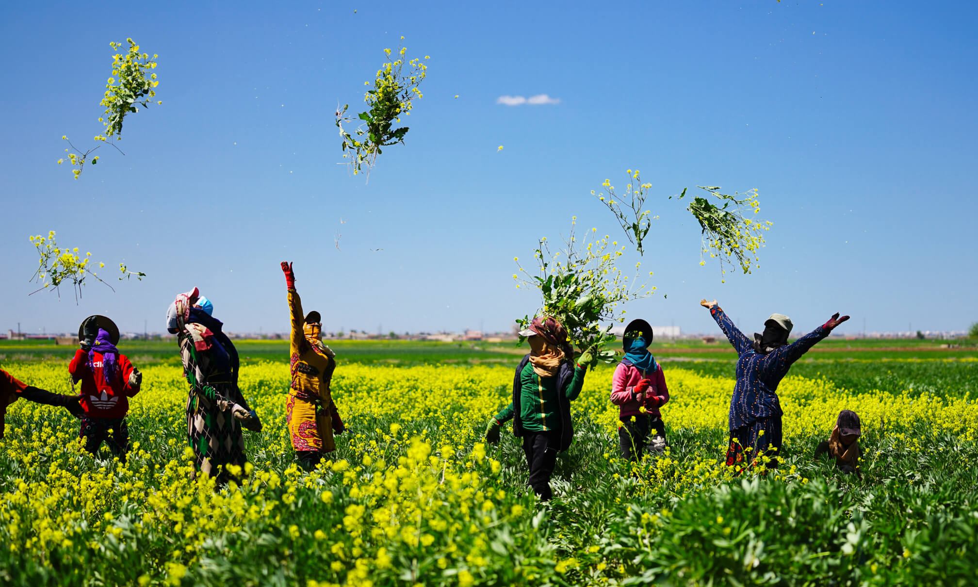 Einige Frauen werfen Büschel von Blumen in die Höhe.