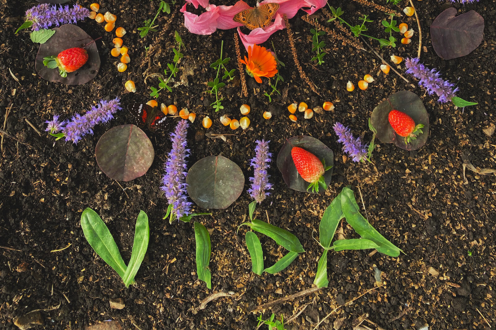 Bodenarrangement aus Erde, bunten Blüten, grünen Blättern und Früchten. Der Schriftzug 'VIDA' ist aus grünen Blättern geformt. Rote Erdbeeren, Maiskörner und lila Blüten sind ebenfalls sichtbar.