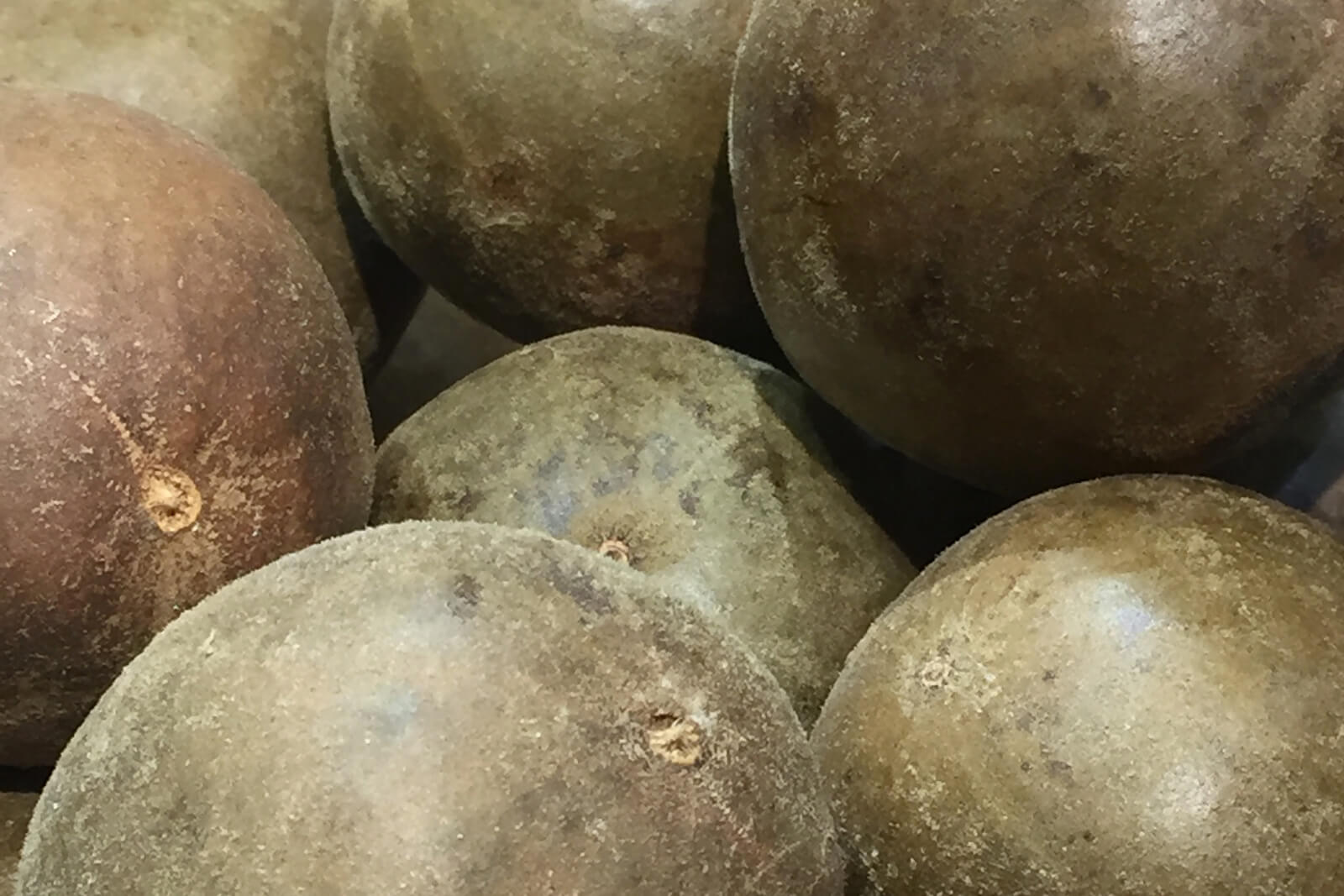 Nahaufnahme mehrerer erdiger, runder Luo Han Guo Früchte mit rauer Oberfläche.